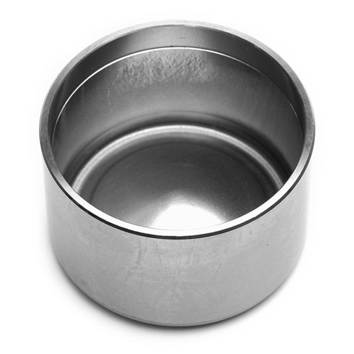 Caliper Pistons - 200-1119