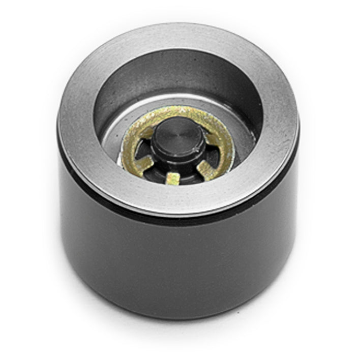 Caliper Pistons - 200-11342
