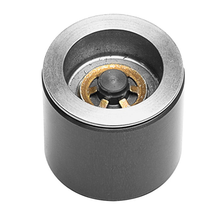 Caliper Pistons - 200-11343