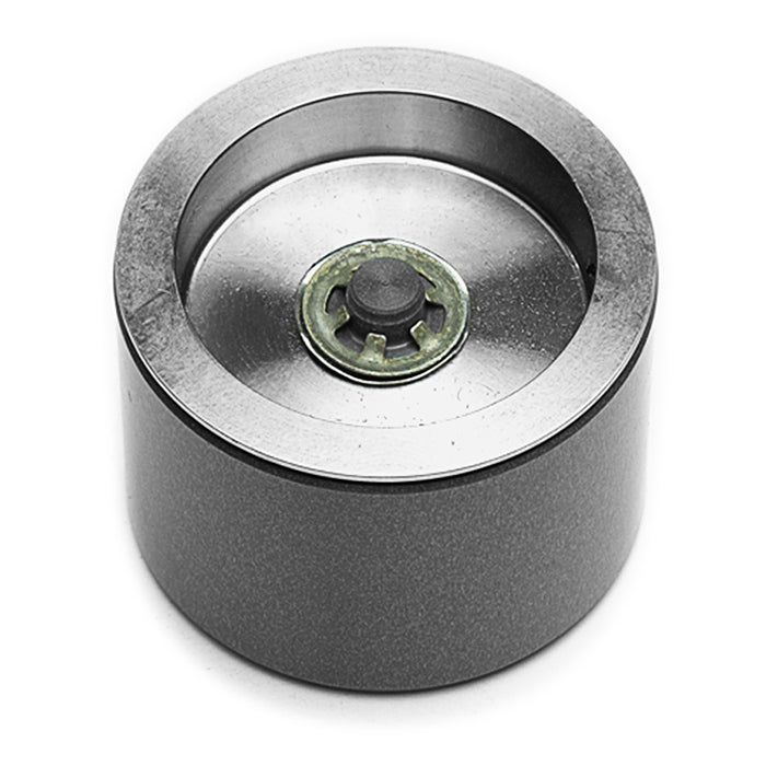 Caliper Pistons - 200-13998