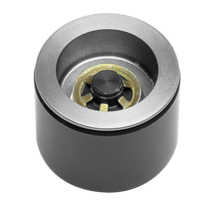 Caliper Pistons - 200-15449