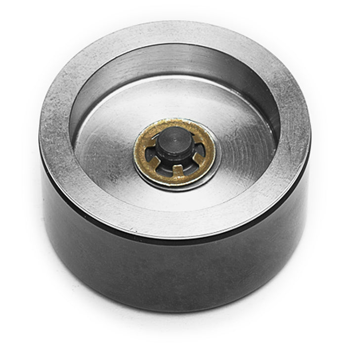 Caliper Pistons - 200-7552
