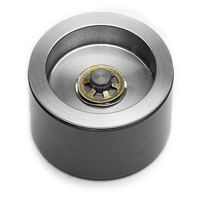 Caliper Pistons - 200-7553