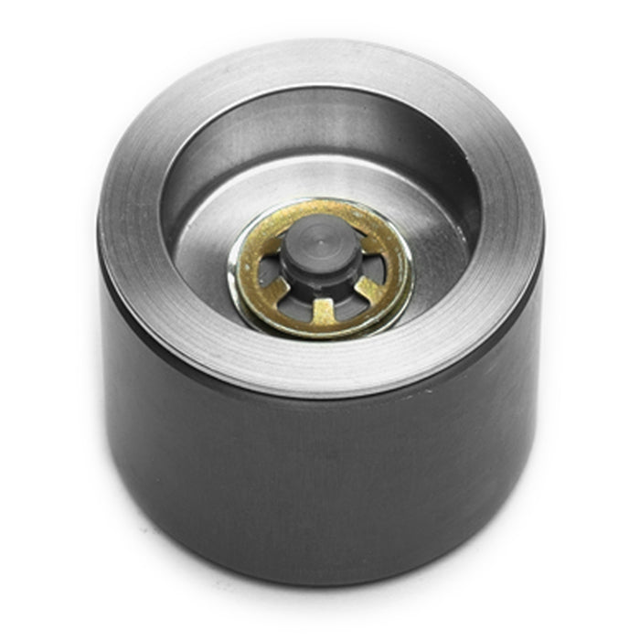Caliper Pistons - 200-7554