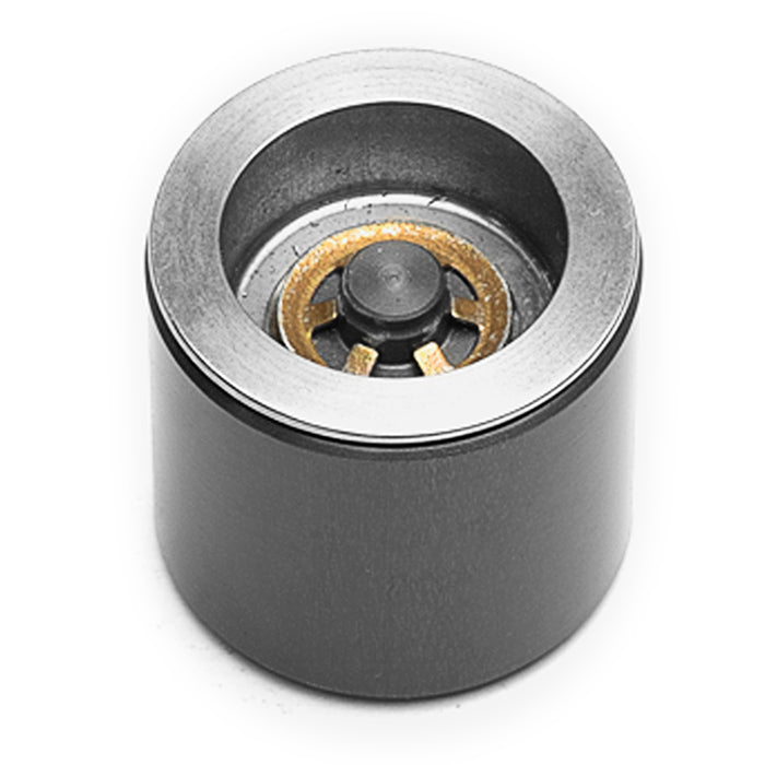 Caliper Pistons - 200-7556