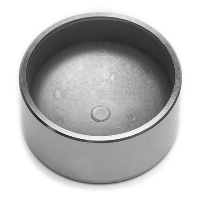 Caliper Pistons - 200-9060