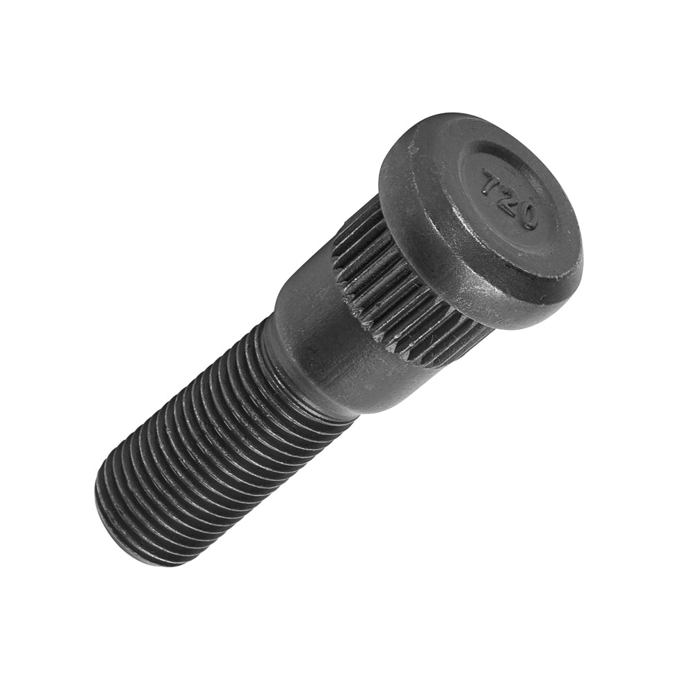 Studs - 230-16938